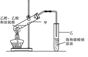 燃烧器的功能与重要性，揭示其核心作用与原理