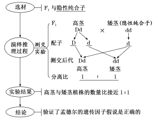 油漆与离子交换树脂型号价格比较，差异因素及市场走势分析