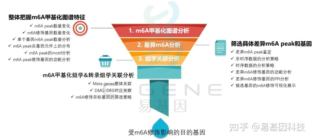 康复工程技术产品的基本作用及其重要性